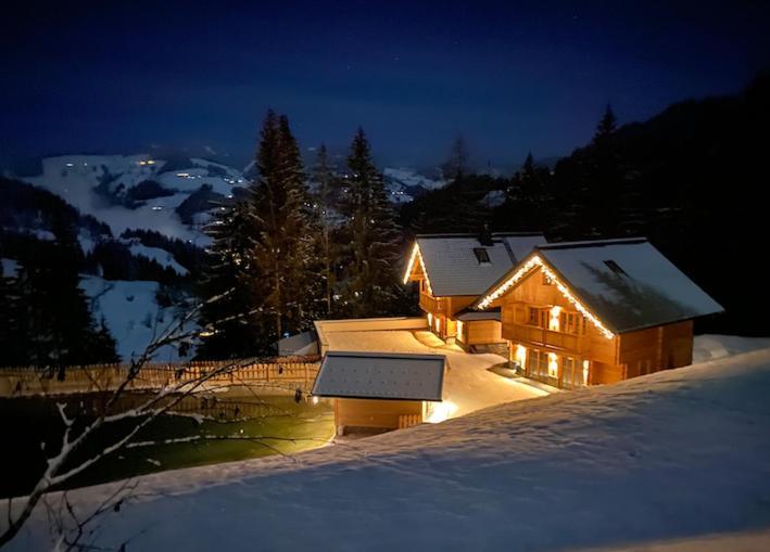 Bergseegut Chalet Und Apartment واغراين المظهر الخارجي الصورة