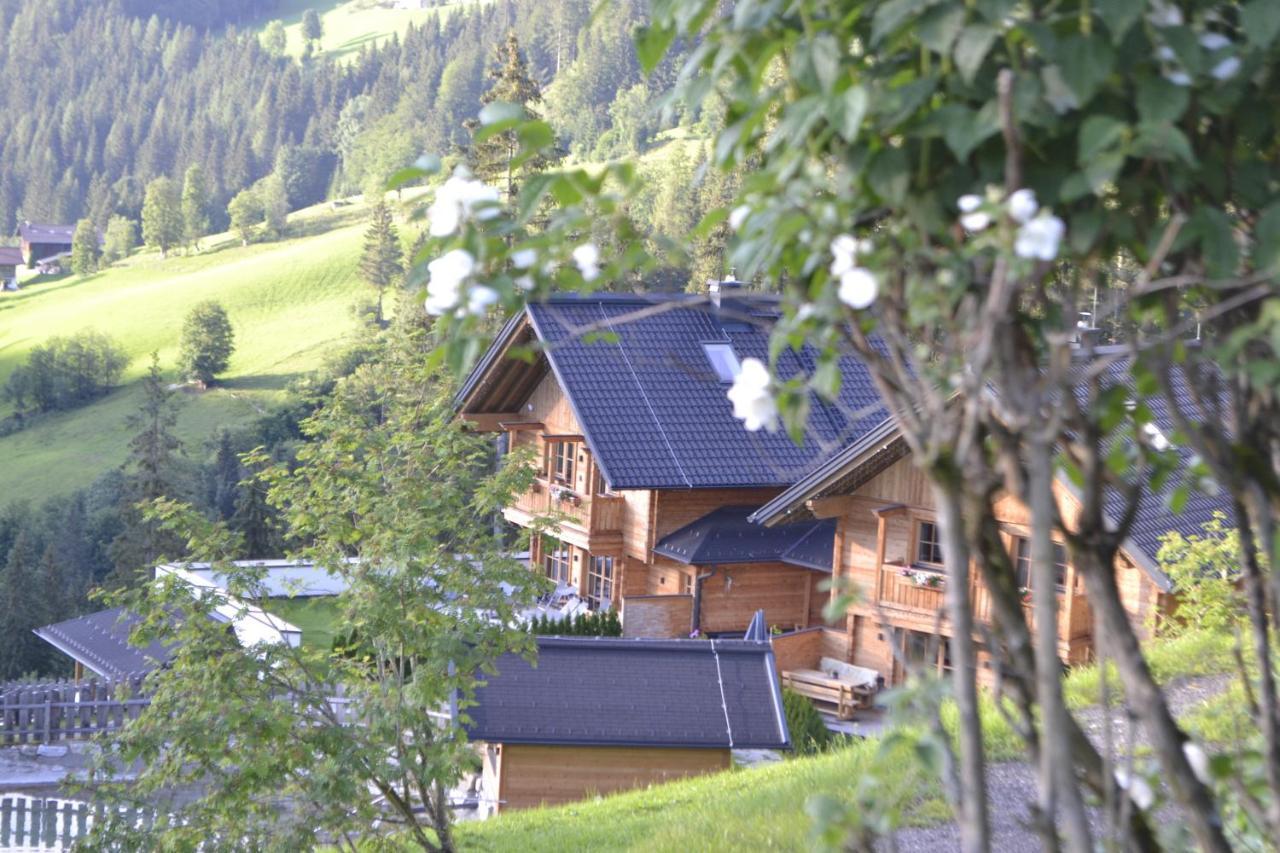 Bergseegut Chalet Und Apartment واغراين المظهر الخارجي الصورة